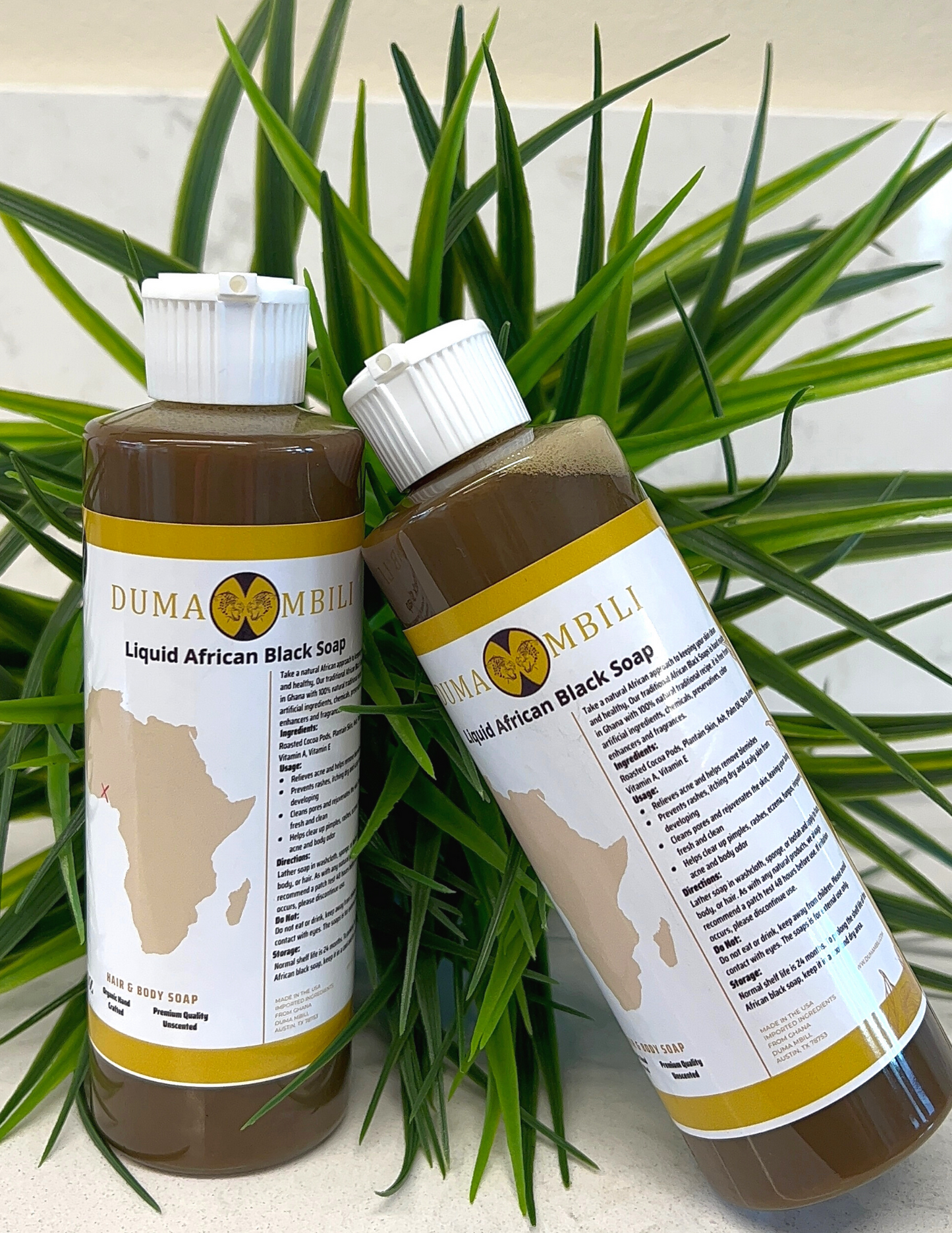 Sacred. Soak | Liquid African Black Soap (8oz)
