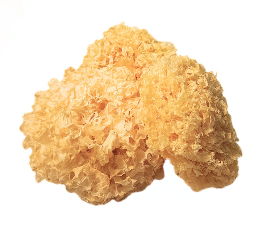 Yellow sponge on a white background