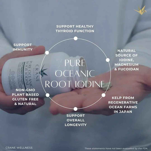 Pure Oceanic Kelp Iodine Tablets