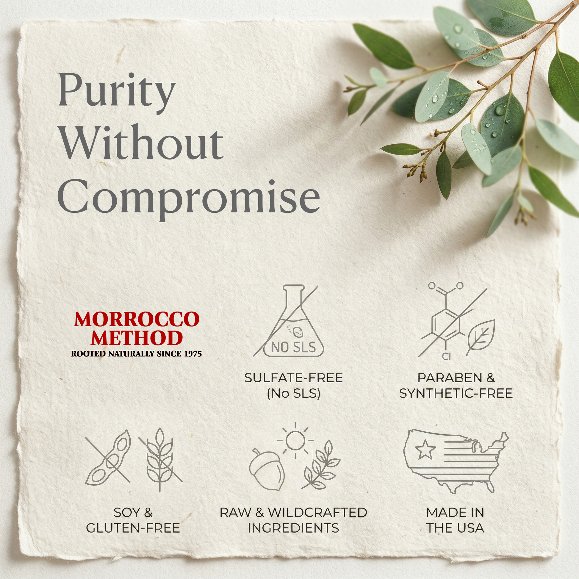 Product packaging with 'Purity Without Compromise' text and green leaves on a textured background